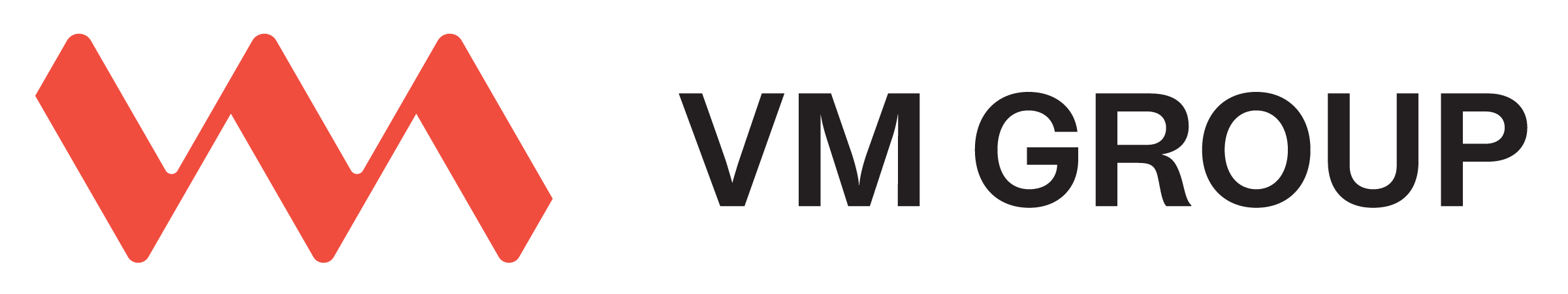 LOGO_VM GROUP